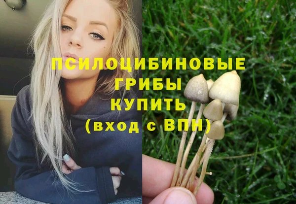 СК Гусев