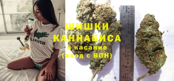 прущая мука Гусиноозёрск